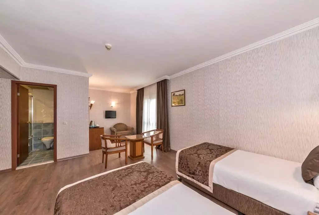 hotel lion istanbul_shabavizparvaz_08.jpg